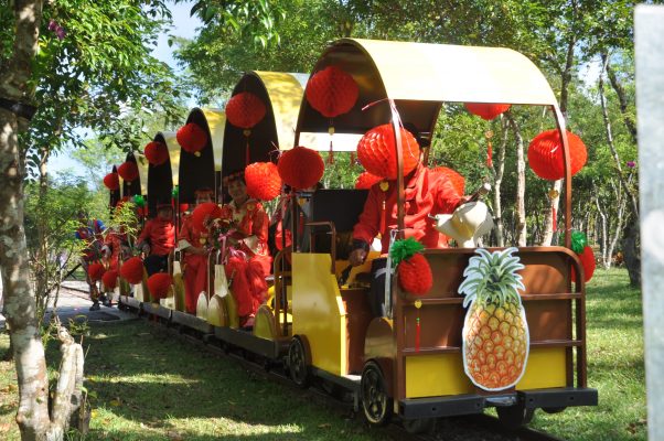 富興村乘坐輕軌小火車穿梭在鳳梨田園及平地森林中。（詹亦菱／大紀元）