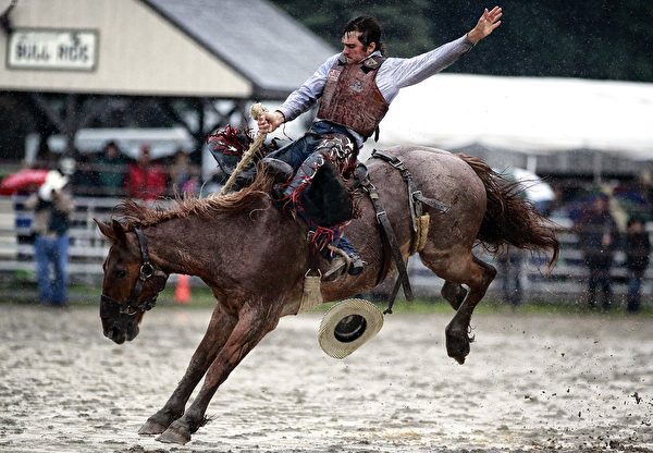 Rodeo,美国西部的牛仔马术竞技(公共领域)