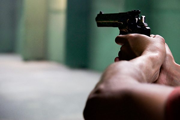 新法案将赋予警方前所未有的搜缴枪支的权力。（Pixabay）