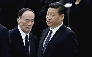 陈思敏：五年“反腐战报”的背后