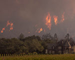 加州大火烧掉34大麻农场  联邦严禁业者募款