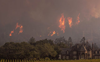 加州大火燒掉34大麻農場  聯邦嚴禁業者募款