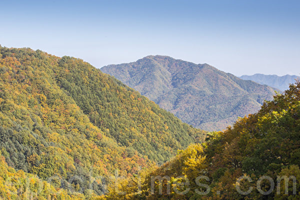 韩国江原道麟蹄郡山区风景如画的枫景让人陶醉。（全景林／大纪元）