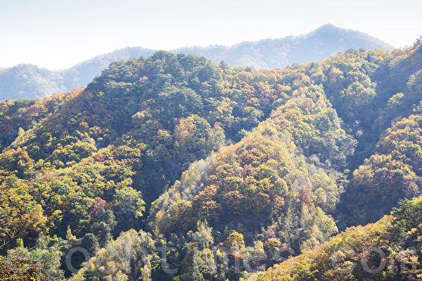韩国江原道麟蹄郡山区风景如画的枫景让人陶醉。（全景林／大纪元）