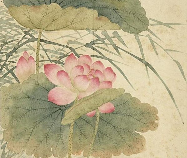 清程琳《莲花芦苇》，现藏台北故宫博物院。（公有领域）