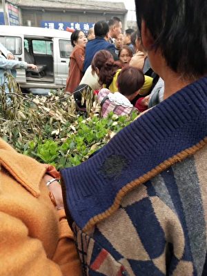 10月11日，河南安陽縣磊口鄉泉門村數十名村民到鄭州市政府上訪被攔截，有一名女村民被打傷。（村民提供）