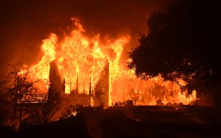 加州大火连烧数县 烧毁众多大麻园