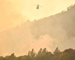 强风烈火中 加州直升机救出42人6只宠物