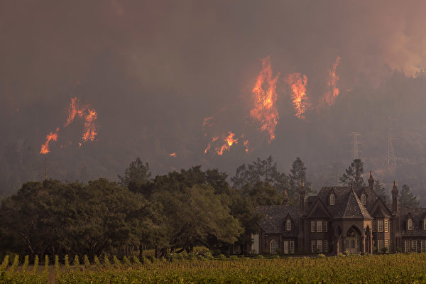 加州目前有9000多人參與滅火行動，包括消防員和數千名志願者。連日來，大量志願者前往加州參與滅火工作，甚至遠至加拿大和澳大利亞的消防員也參加了滅火。(David McNew/Getty Images)