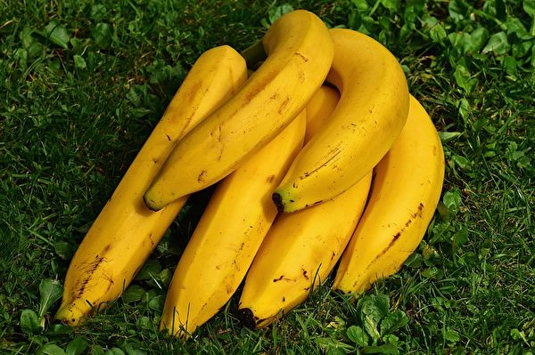 香蕉。(Alexandra Stockmar/CC/Pixabay)
