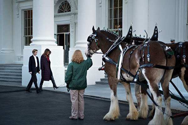 一（11月20日），美國第一夫人梅拉尼婭（Melania Trump）和兒子巴倫（Barron）一起，歡迎今年的白宮聖誕樹。(AFP PHOTO / Brendan Smialowski)