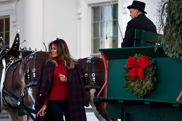 一（11月20日），美国第一夫人梅拉尼娅（Melania Trump）和儿子巴伦（Barron）一起，欢迎今年的白宫圣诞树.(AFP PHOTO / Brendan Smialowski)