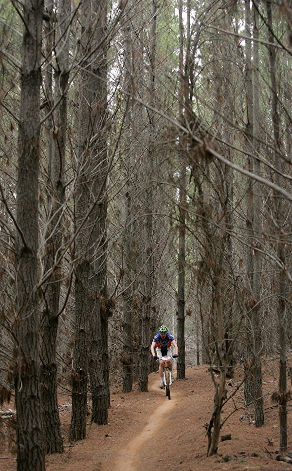Majura Pines自行车车道。 (Photo by Mark Nolan/Getty Images)