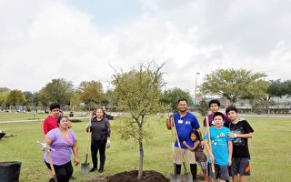 市政组织植树活动  改善资贫社区公园环境