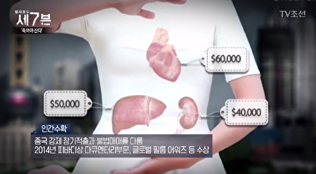 中國移植醫院的一位朝鮮族護士說：「腎臟移植需要1億2,000萬～1億4,000萬韓元，如果捐贈1.500萬韓元，可以儘快安排移植手術。」（ 照片：TV朝鮮「探查報告7」截圖）
