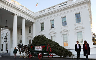 組圖：梅拉尼婭和兒子巴倫迎接白宮聖誕樹