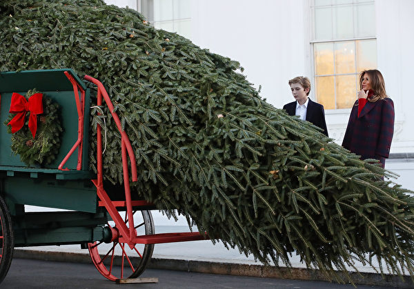 一（11月20日），美国第一夫人梅拉尼娅（Melania Trump）和儿子巴伦（Barron）一起，欢迎今年的白宫圣诞树。(Mark Wilson/Getty Images)