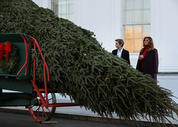 一（11月20日），美国第一夫人梅拉尼娅（Melania Trump）和儿子巴伦（Barron）一起，欢迎今年的白宫圣诞树。(Mark Wilson/Getty Images)