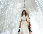 组图：圣诞节梅拉尼娅装扮白宫 现悠久传统