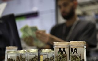 加國卑詩省公布大麻合法化規管政策