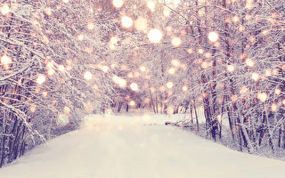 周四冬至 多伦多或有白色圣诞