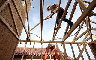 維州木材短缺 建房成本受影響