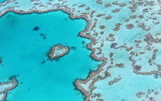 澳洲大堡礁有個藍洞 別有洞天