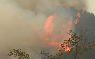 托马斯山火恐跃升加州最大 消防员遇难