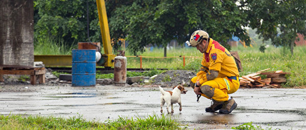 台搜救犬队获国际肯定 成立源起921大地震