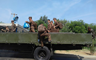 日媒：朝鲜油价猛涨 士兵弃卡车改用牛车