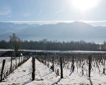 組圖：法國阿爾卑斯冬季風情 雪之美