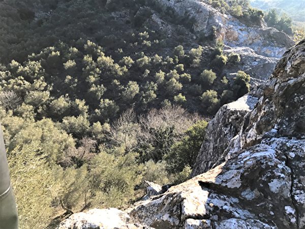 独特的火山土壤,使得这里能够生产出世界上最好的橄榄油之一。 (图:天丰国际提供)