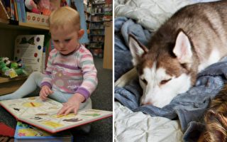 寶寶看到書上有隻狗 連忙叫醒身邊的大狗一起看