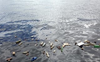 塑料垃圾污染嚴重影響珊瑚礁健康