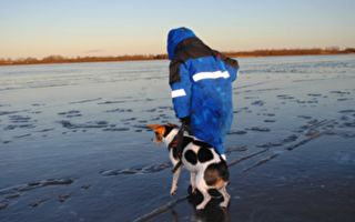 小狗突然汪汪叫 原來是一隻巨大的動物困在冰湖裡