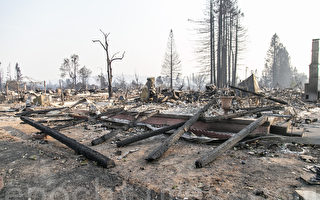 报告：北加州大火显索诺玛县应变漏洞多