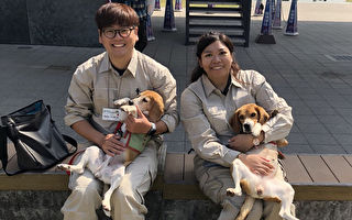 台湾两只红火蚁侦测犬登日秀本领 超吸睛