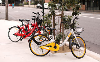 悉尼东区一政府“失去耐心” 将扣留乱放共享自行车