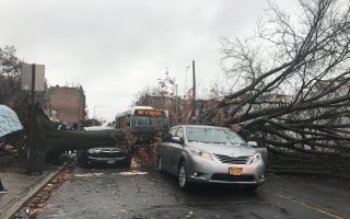 狂风袭纽约 多处大树倒万户停电