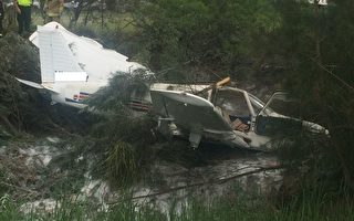 悉尼濱城機場附近飛機墜毀 機上女子奇跡生還