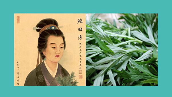 说起中国的四大女医，每个人都是一部令人惊叹的传奇，其中晋代的鲍姑，可是中国第一位女灸学家呢！（大纪元合成）