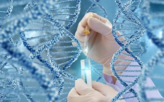 人體內發現DNA新結構 並非雙螺旋