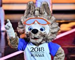 组图：俄罗斯世界杯吉祥物－－扎比瓦卡