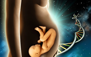 新研究：胚胎的早期环境影响婴儿DNA及未来健康