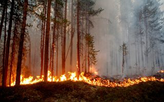 瑞典空投炸弹 控制森林火情