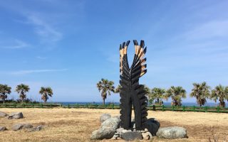 熊鹰翅膀现大武海滨 木雕家吁重视传统文化