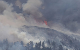 專家：加州野火危機因錯誤監管 而非氣候變化