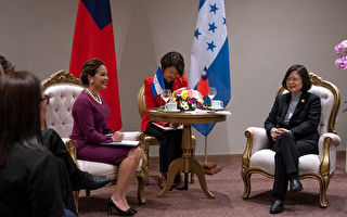 蔡英文會晤宏國副總統  談助推廣酪梨和咖啡