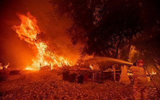 今年加州火災理賠已達8.45億美元