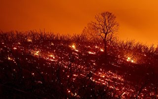 组图：火灾肆虐面积扩大 成加州史上最大野火